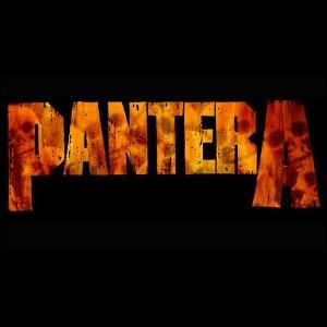 pantera logo