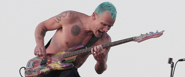 flea