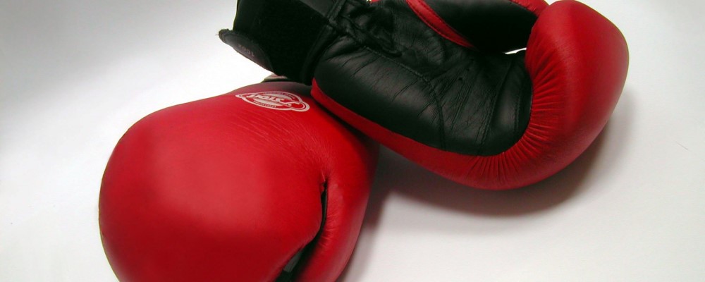 guantes boxeo web 02