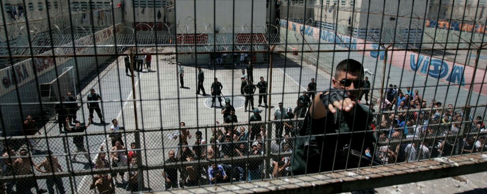 carcel san miguel web