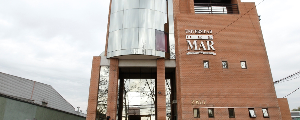 universidad del mar web