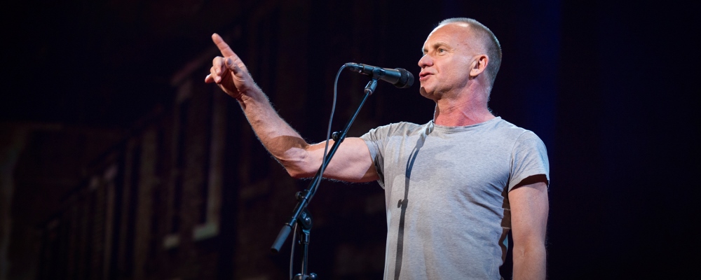 sting 2014 dedo web