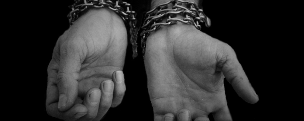 no_a_la_esclavitud web