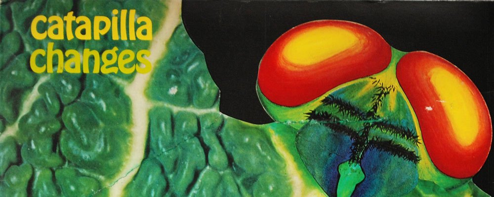 catapilla changes web