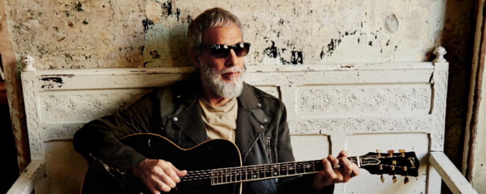 cat stevens 2014 web
