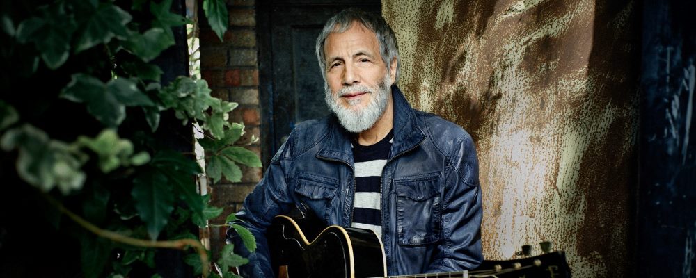 cat stevens 2014 promo alta web