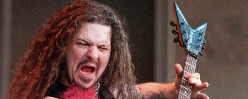 dimebag darrell web