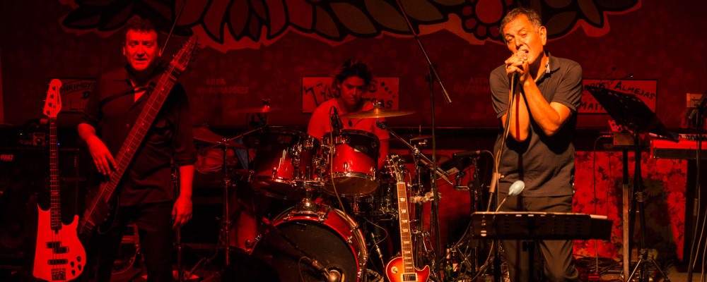 electrodomesticos 2015 liguria web