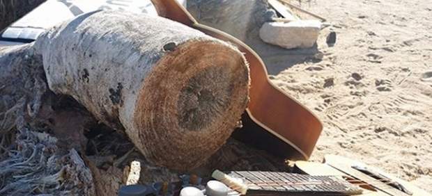 joshua tree mutilado