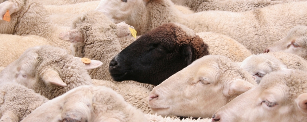 la carpa del diablo 11 de febrero web