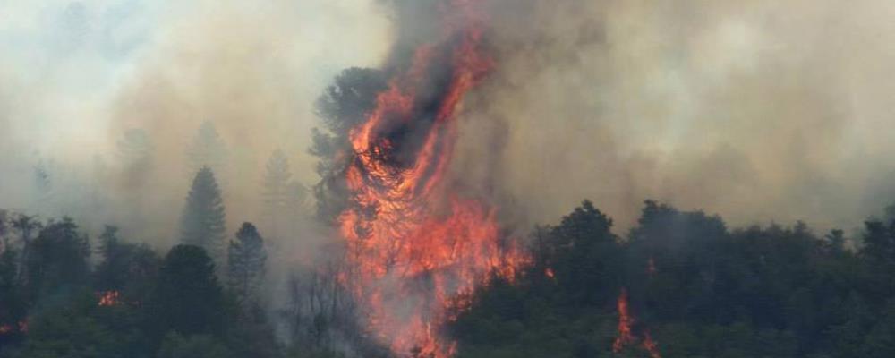 la carpa del diablo 01 de abril web