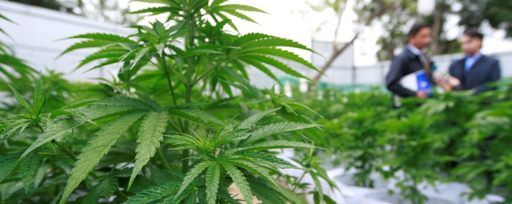 ?????????????????????????????????????????????????????