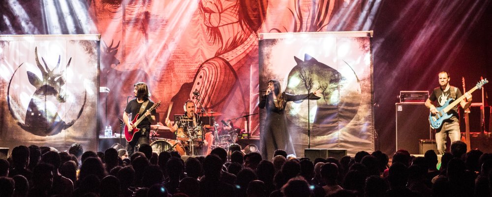 crisálida1_en vivo web