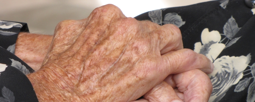 la carpa del diablo 01 de julio web