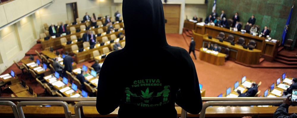 Camara de Diputados Vota en General Proyecto de ley de la Cannabis
