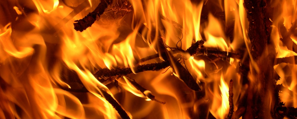 fire_01 web