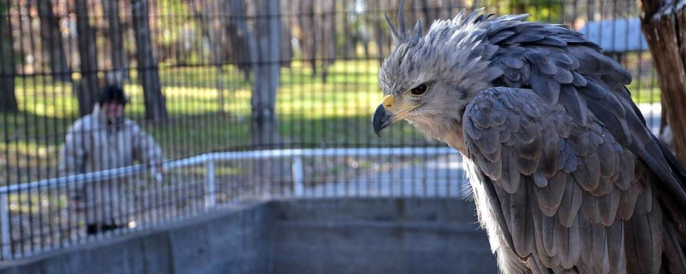 zoologico costa rica web