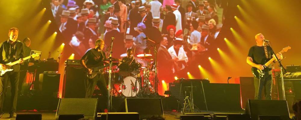 david gilmour brighton 01 web