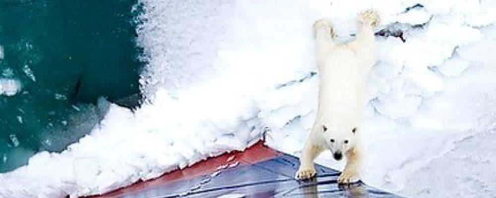 la carpa del diablo 09 de septiembre web