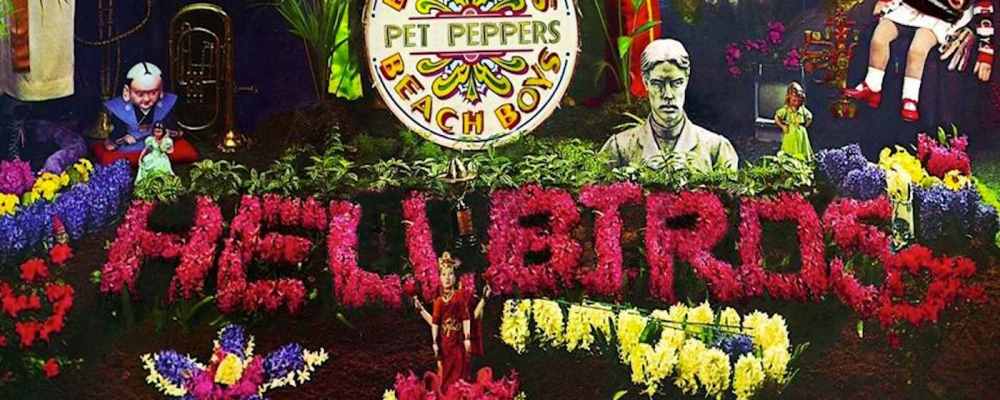 hellbirds sgt pepper pet sounds web