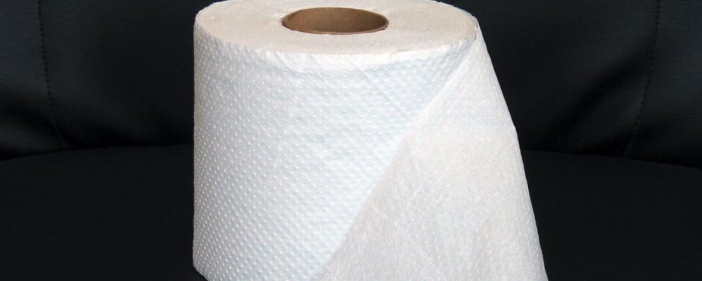 toilet-paper web