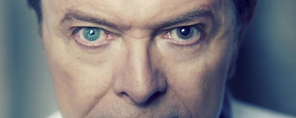 Bowie web