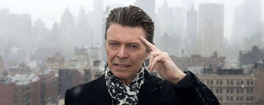 bowie web