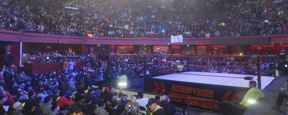 lucha libre chile web