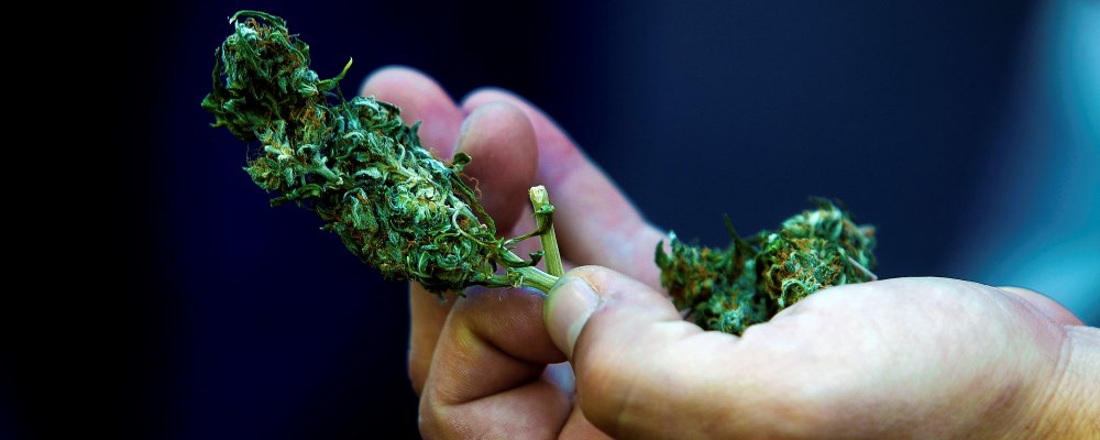 Marcha Cultiva tus Derechos 2016