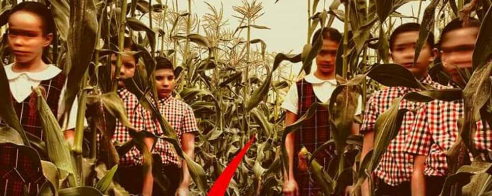 american horror story children of the corn web