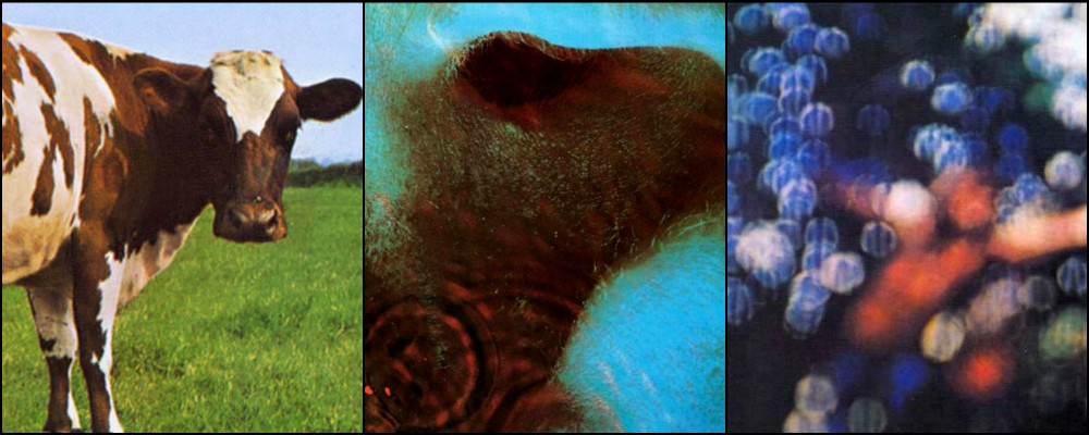 pink floyd vinilos 3 discos web