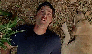 lost-gif-12
