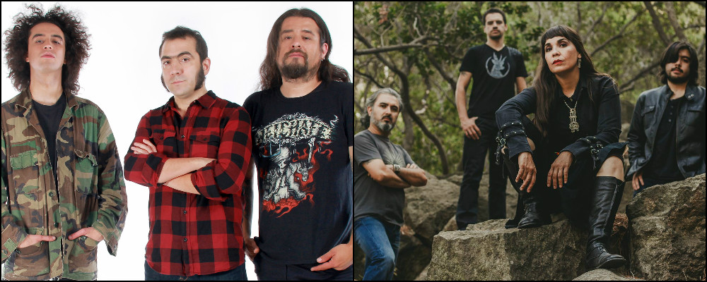 weichafe-crisalida-web