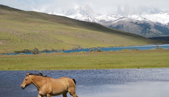 Polly Samson, esposa de David Gilmour comparte fotos de vacaciones familiares en la Patagonia