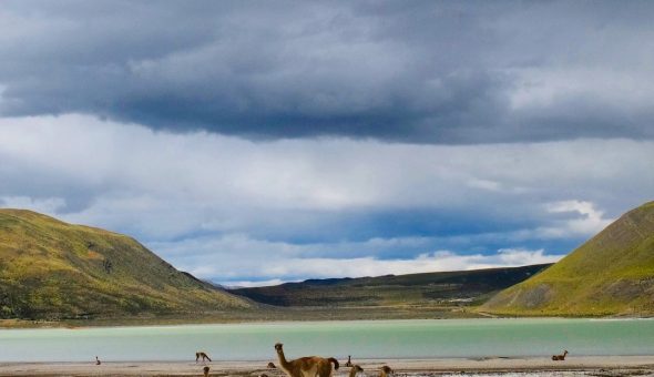Polly Samson, esposa de David Gilmour comparte fotos de vacaciones familiares en la Patagonia