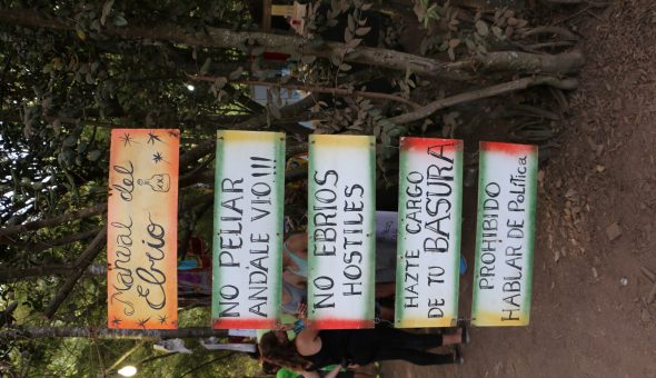 Woodstaco, 10 años: la fiesta mas grande de la música independiente