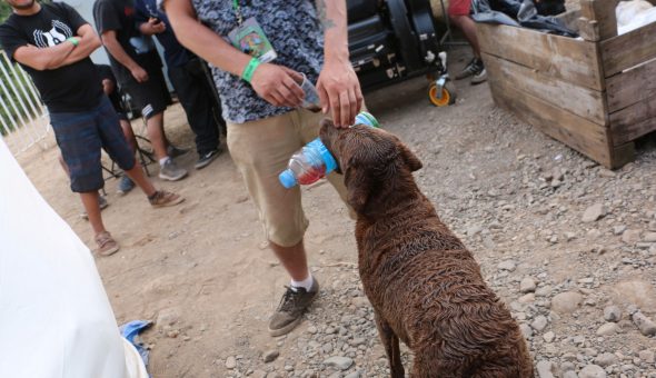Woodstaco, 10 años: la fiesta mas grande de la música independiente