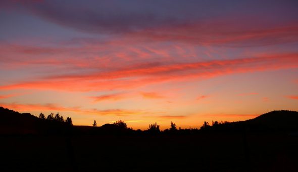 Woodstaco, 10 años: la fiesta mas grande de la música independiente