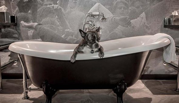 Hotel en Seattle abre suites temáticas dedicadas a Pearl Jam y The Beatles