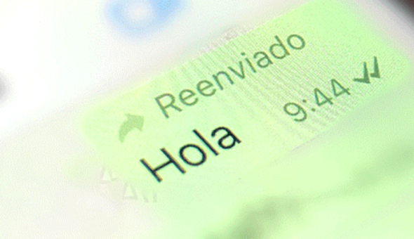 El truco de Whatsapp para enviar mensaje sin que aparezca "reenviado"
