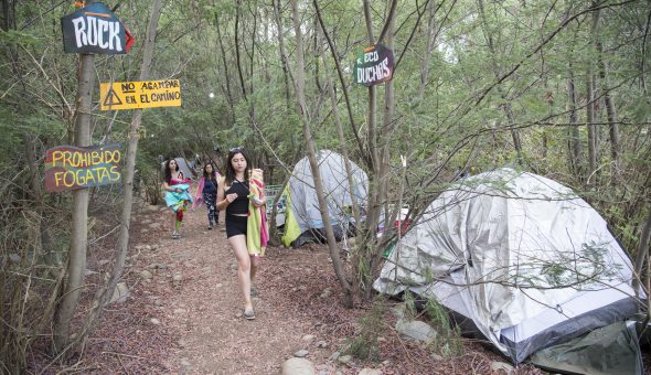 Woodstaco 2019 en fotos