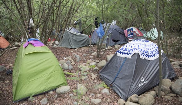 Woodstaco 2019 en fotos