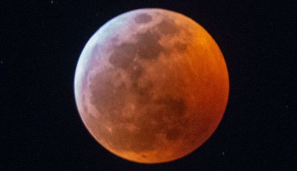 Superluna de sangre de lobo: revisa las mejores imágenes del eclipse lunar