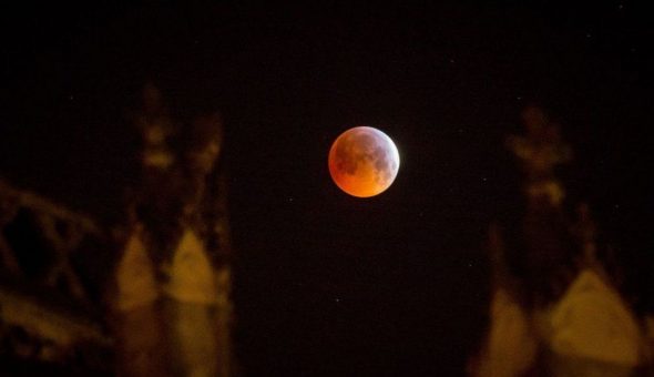 Superluna de sangre de lobo: revisa las mejores imágenes del eclipse lunar