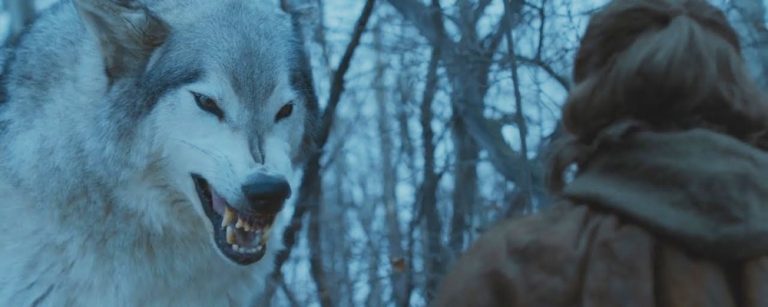 Game Of Thrones lobos huargos