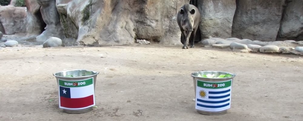 Tapir Manolo La Roja