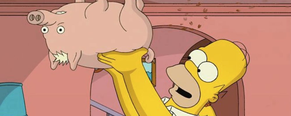 Puerco araña simpsons web