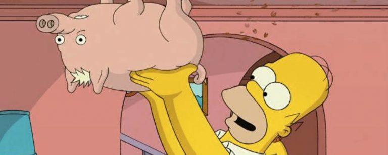 Puerco araña simpsons web