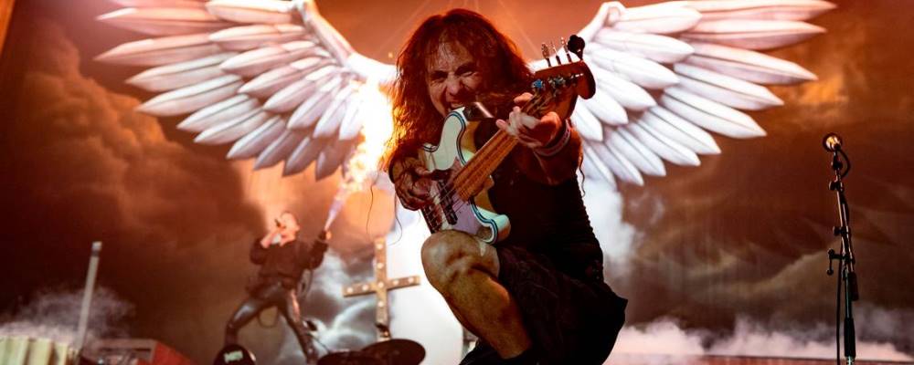Steve Harris angel web