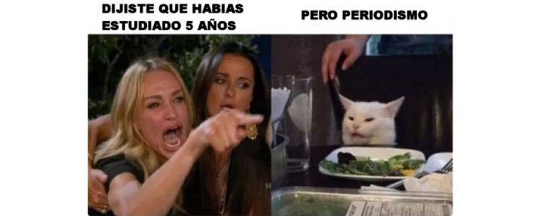 Meme gato blanco web